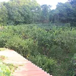 Apartment Quinta Do Areeiro