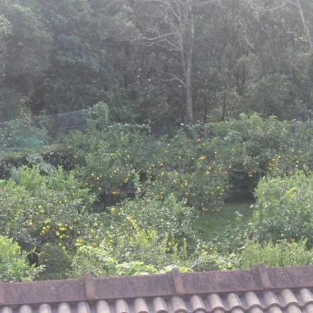 דירה Quinta Do Areeiro *