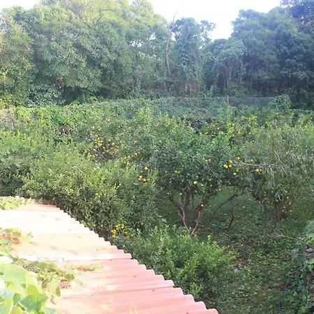 公寓 Quinta Do Areeiro