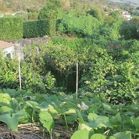 Quinta Do Areeiro Horta (Azores)