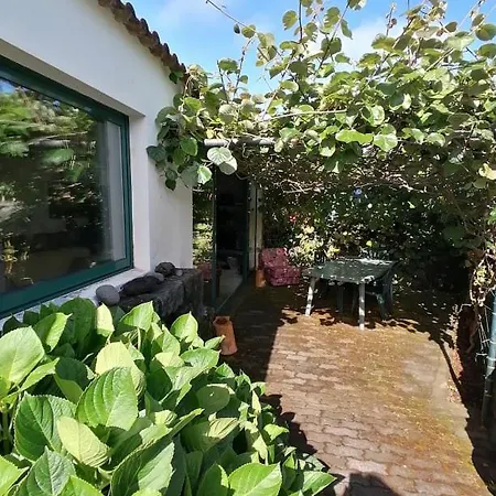 Quinta Do Areeiro Lejlighed Horta (Azores)