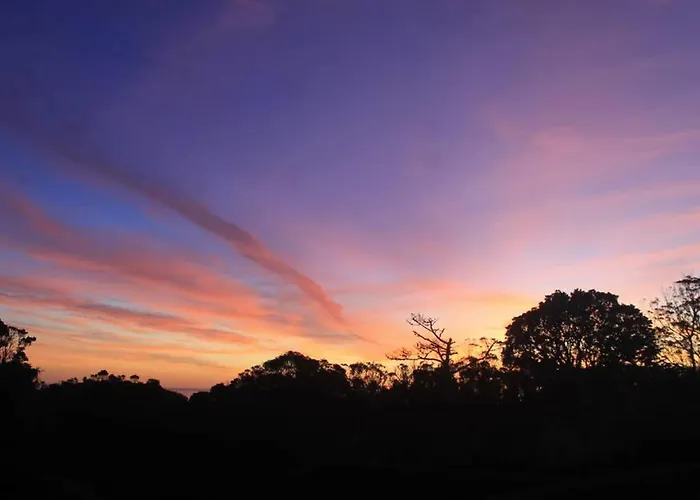 Quinta Do Areeiro Horta