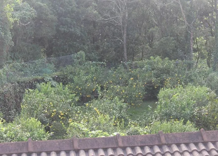 Apartamento Quinta Do Areeiro *