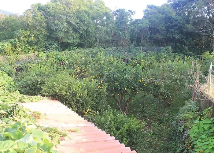 Apartamento Quinta Do Areeiro