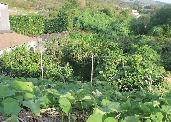 Quinta Do Areeiro Horta